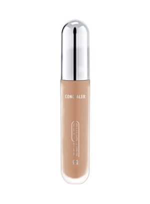 LR Signature Concealer Light